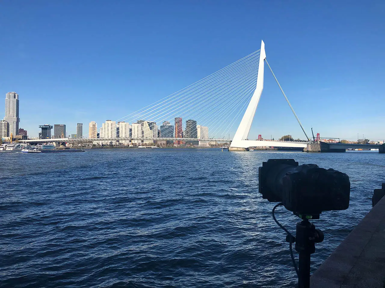 Skyline Rotterdam